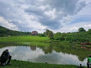 a couple of people sitting next to a lake at Hiška Timi in Malečnik