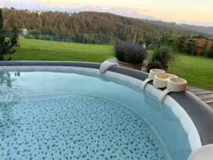 a large swimming pool with a view of a field at Tatra Whisper Chalet in Ząb