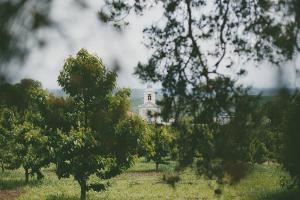 Foto dalla galleria di Conac Polizu a Maxut Altre 39 foto