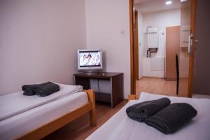a small room with two beds and a television at Modex Apartments in Paraćin +7 photos