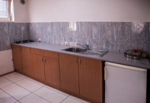 a kitchen with a sink and a counter top at Modex Apartments in Paraćin