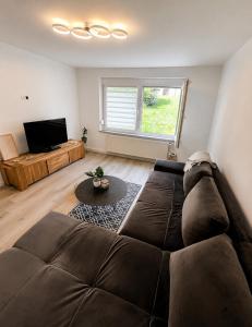 a living room with a brown couch and a television at Ferienwohnung Laufenburg in Laufenburg