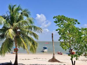 two palm trees on a beach with boats in the water at Casa sol in Bragança