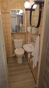a small bathroom with a toilet and a sink at Apartament Tkaczy in Kowary +18 photos