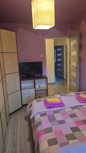 a bedroom with a bed and a dresser and a television at Apartament Tkaczy in Kowary