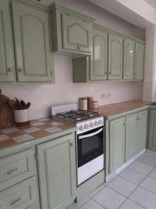 a kitchen with green cabinets and a stove top oven at Papaya Condo in Portsmouth