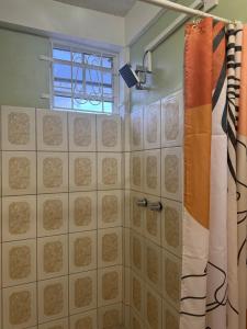 a bathroom with a shower curtain and a window at Papaya Condo in Portsmouth +5 photos