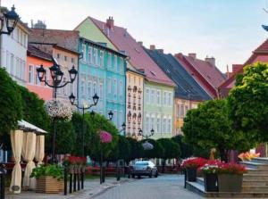 a city street with colorful buildings and flowers on the street at Apartament Tkaczy in Kowary