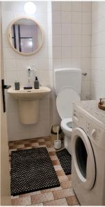 a bathroom with a toilet and a sink and a washing machine at Ali app in Travnik +14 photos