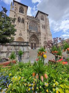 a church with a bunch of flowers in front of it at Studio de charme - Centre Vienne - Proche gare in Vienne +3 photos