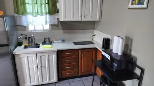 a small kitchen with a sink and a microwave at Woodbrook on the Avenue in Port-of-Spain