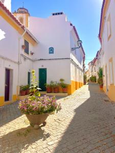 an alley with flowers in a pot on a street at Villa Nooma Elvas in Elvas