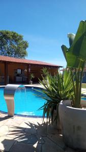 a pool with two plants in front of a house at Life Pinhalzinho in Pinhalzinho