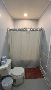 a bathroom with a toilet and a shower at Cozy Oneonta Getaway in Oneonta