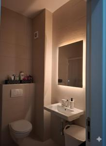 a bathroom with a sink and a toilet and a mirror at Stan na dan Lana in Vranješ