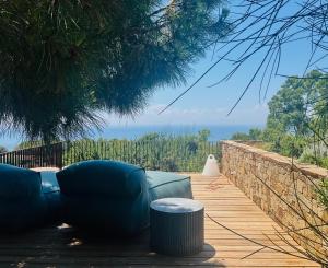 a patio with two blue couches and a tree at Residenza Rosso Di Sera in Capoliveri