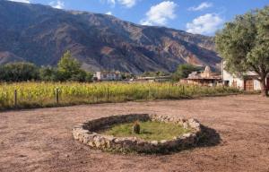 a stone circle in a field with mountains in the background at Cabañas el cardon in Maimará