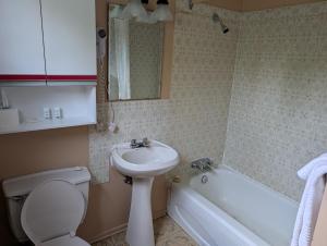 a bathroom with a sink and a toilet and a bath tub at Lang's Motel in Wabigoon