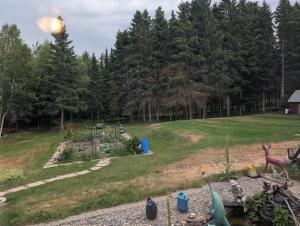 a view of a garden with trees in the background at Lang's Motel in Wabigoon +1 photo