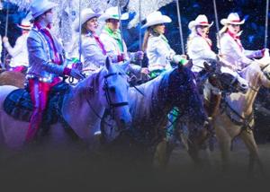 a group of people riding horses in the snow at Whispering Pines 111 Lazy Bear in Pigeon Forge +26 photos
