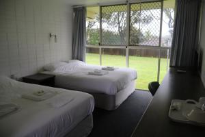 a hotel room with two beds and a window at Hilltop Hotel in Goonellabah +2 photos