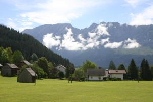 a green field with houses and mountains in the background at Haus Pürcher in Bad Mitterndorf