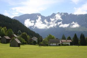 ein grünes Feld mit Häusern und Bergen im Hintergrund in der Unterkunft Haus Pürcher in Bad Mitterndorf