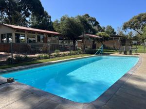 a large blue swimming pool in front of a house at Young Tourist Park in Young