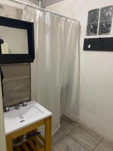 a bathroom with a sink and a mirror at Departamento Patri in General Pico