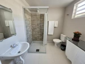 a bathroom with a shower and a sink and a toilet at Hotel Deck Taquaral in Campinas