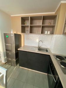 a kitchen with a sink and a refrigerator at Casa Laguna Suites in Concepción +9 photos