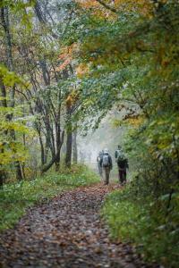 two people walking down a path in the woods at SHISHI-IWA HOUSE Karuizawa in Karuizawa +66 photos