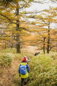 a woman walking down a trail in the woods at SHISHI-IWA HOUSE Karuizawa in Karuizawa
