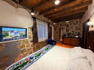 a bedroom with a bed and a tv on a wall at La Peña Hotel Boutique & SPA in Cuetzalán del Progreso