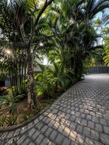 a cobblestone walkway with a tree and palm trees at Villa da Lucia in St Lucia