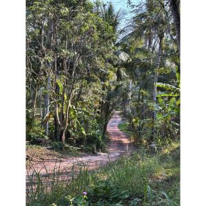 a dirt road through a forest with trees at Blue House Klong Hin in Ko Kood +2 photos