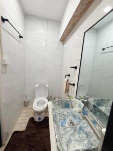 a bathroom with a toilet and a sink and a mirror at Malima Stay in Suva