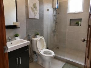 a bathroom with a toilet and a shower and a sink at GORDITAS Villa in Zacatecas