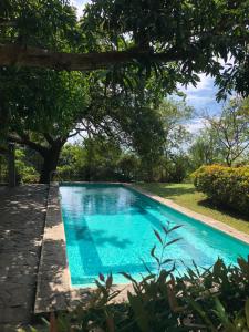 a swimming pool in a yard with trees at Native House with beautiful pool in Bagac