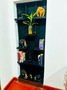 a shelf in a room with a plant and books at Sigiri Grand Villa in Sigiriya