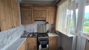 a small kitchen with a stove and a sink at Avenue B&B in Vanadzor