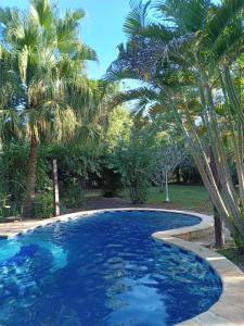 a swimming pool with palm trees in a yard at Hotel Restaurant Paraiso TINY in Villarrica