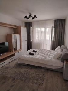 a bedroom with a bed and a flat screen tv at Apartament OAȘUL 2 in Hurez