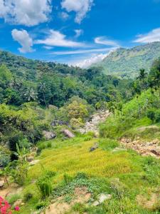 a view of a green hillside with trees at Clay house in Kurukohogama