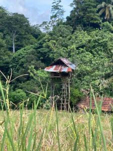 a small hut in the middle of a field at Clay house in Kurukohogama