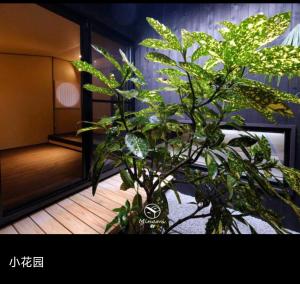 a green plant in a vase in a room at Machiya Minami Omiya in Kyoto