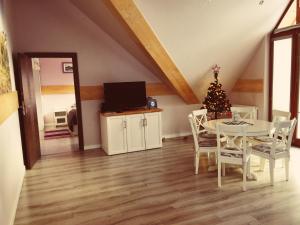 Kuchyňa alebo kuchynka v ubytovaní Apartamenty Siklawa Krupówki