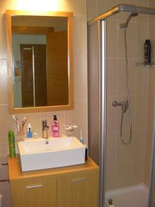 a bathroom with a sink and a shower at Hacienda Riquelme 38 in Sucina