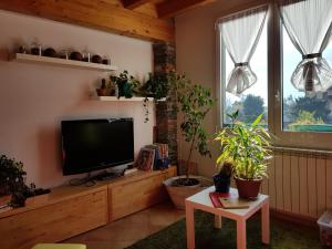 sala de estar con TV de pantalla plana y plantas en B&B La Cà De La Frà, en Gravedona
