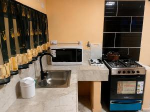 a kitchen with a sink and a microwave at Apartamento Patagonia in Puerto San Julián